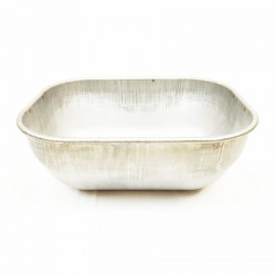 Feeder stainless steel embossed 500X385X215 bristles/boars