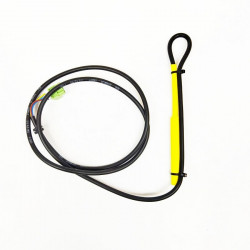 Probe with built-in filter