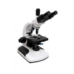 Microscope binoculaire Master 5