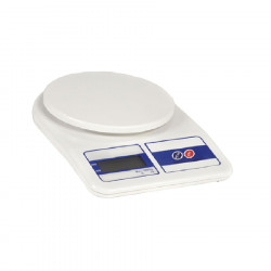 Electronic scale