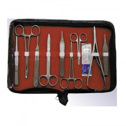 Veterinary instrument case with 10 pieces