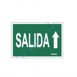 Luminescent exit sign with arrow 21x29