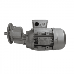 Gear motor with 0.5HP three-phase 300 rpm