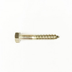 DIN571 stainless steel screw