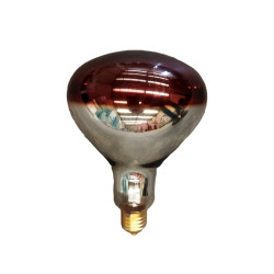 Ampoule infrarouge175W RI