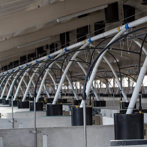 Qué te ofrece Macoga